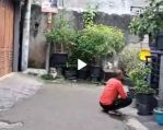 thumbnail-rumah-di-cirendeu-tangerang-selatan-3